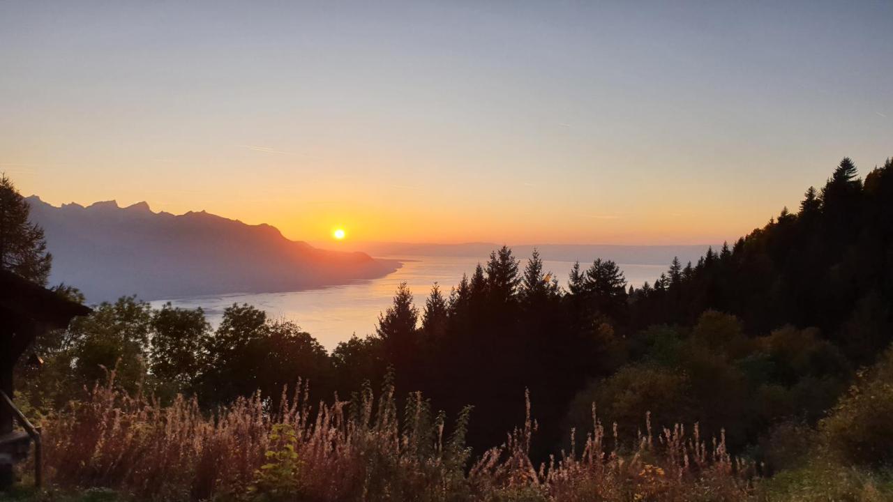 Bnb Belalp Montreux Esterno foto
